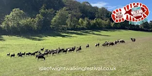Stoats Farm, Tennyson & conservation areas including rare Soay sheep(4 Oct)