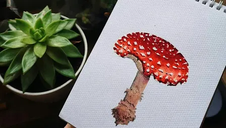 Fungi Fest - Botanical Drawing Class