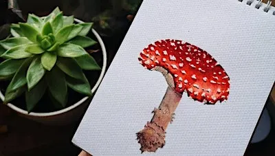 Fungi Fest - Botanical Drawing Class