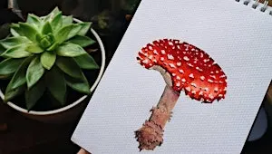Fungi Fest - Botanical Drawing Class