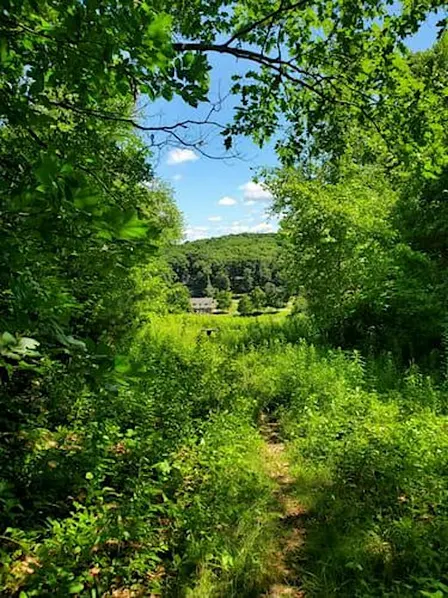 Early fall hike up Jericho Hill