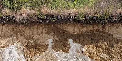 Local Geology Walk & Talk - College Lake, Saturday 19 December