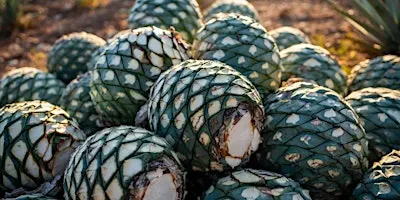 Spirits Class: Tequila - Tradition and Innovation