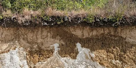 Local Geology Walk & Talk - College Lake, Thursday 4 February
