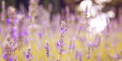 Self Care Night for Women in Business