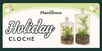 Holiday Terrarium Workshop