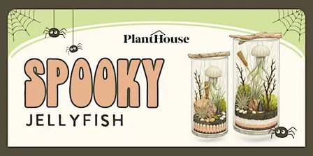 Spooky Jellyfish Terrarium Workshop