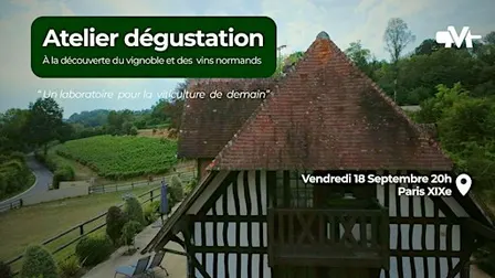 Le vignoble et les vins normands
