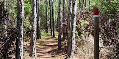 Guided Walk: CREW Flint Pen Strand Trails (Red Trail)