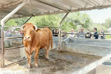 COMODÍN