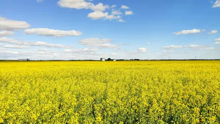 From Soil to Scope 3: Investing in agriculture for climate action