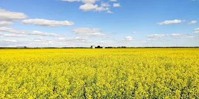 From Soil to Scope 3: Investing in agriculture for climate action