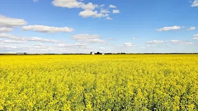 From Soil to Scope 3: Investing in agriculture for climate action