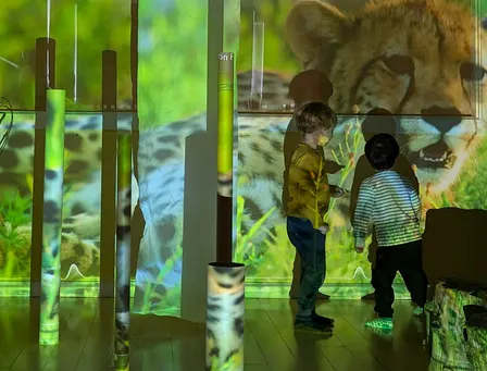 CIRC PreK presents: Environment ‒ Designing Possibilities