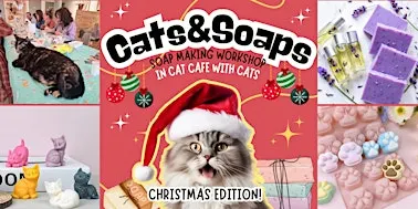 Cats&Soaps - Soap Making Workshop with Cats in cat cafe - Christmas