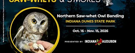 Saw-Whets & S'mores: Indiana Dunes