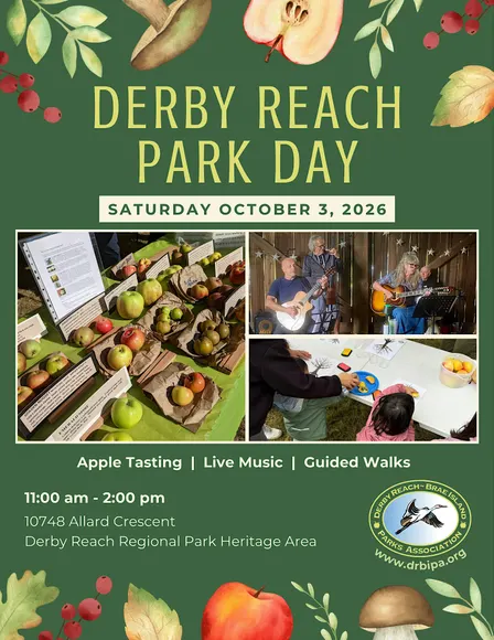 Derby Reach Park Day