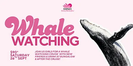 Whale Watching | Sydney Working Holiday Girls
