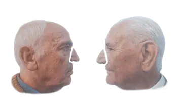 THE NOSE