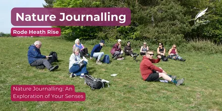 Nature Journalling: An Exploration of Your Senses at Rode Heath Rise