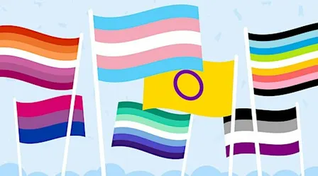 Inclusivity In Law & National Coming Out Day Celebration (UNC Chapel Hill)