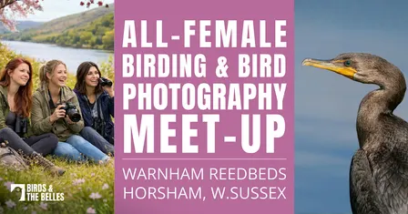 All-Female Bird & Bird Photography Morning
