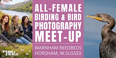 All-Female Bird & Bird Photography Morning