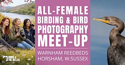 All-Female Bird & Bird Photography Morning
