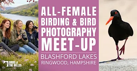 All-Female Bird & Bird Photography Morning
