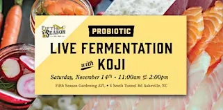 Live Fermentation with Koji: your kitchen's new secret ingredient!