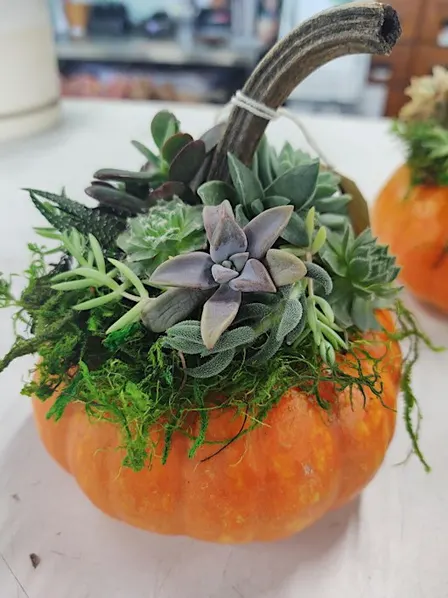 Pumpulent Centerpiece Workshop