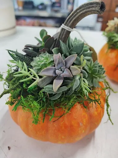 Pumpulent Centerpiece Workshop