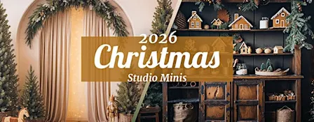 Art Hera 2026 Christmas Mini Sessions