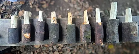 Knife & Needle: TREEcycling