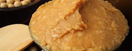 standard miso making workshop