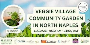 Veggie Village Community Garden Maintenance Day 11/10