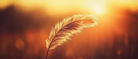 Open to Receive: Sound & Messages from Spirit