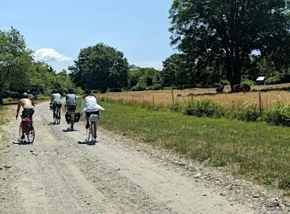 Bike Prudence Island with Bike Newport!