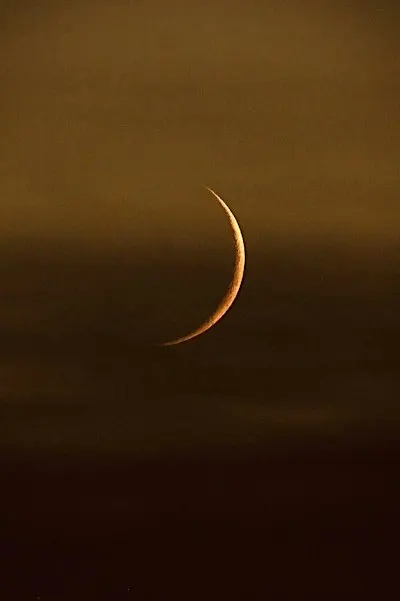 10/10 Portal + New Moon Meeting - Libra 2026