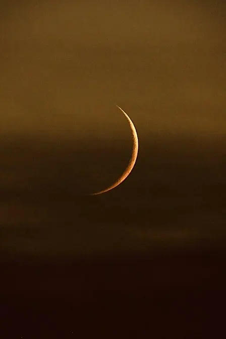 10/10 Portal + New Moon Meeting - Libra 2026