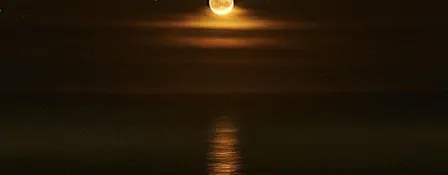 Full Moon Meeting - Taurus 2026