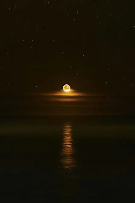 Full Moon Meeting - Taurus 2026