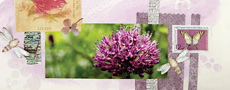 Creative Collage Night!