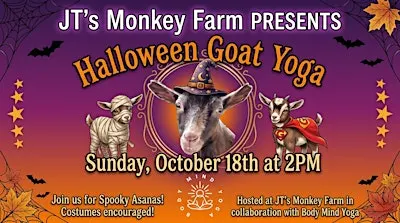 Halloween Goat Yoga at The Monkey Farm