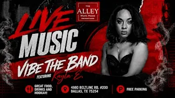 Live On Stage: Vibe The Band