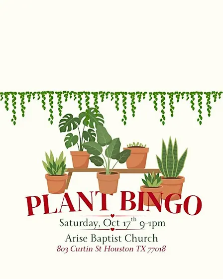 Plant Bingo