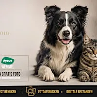 Aveve Wemmel - AnimaBox fotosessie
