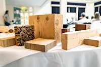 Timber 101: Foundations of Timber Specification & Best Practice (Cardiff)
