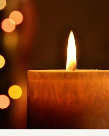 Paint the seasons | November | Winter Botanicals by Candlelight