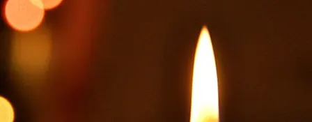 Paint the seasons | November | Winter Botanicals by Candlelight